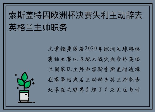 索斯盖特因欧洲杯决赛失利主动辞去英格兰主帅职务